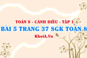Bài 5 trang 37 SGK Toán 8 tập 1 Cánh Diều